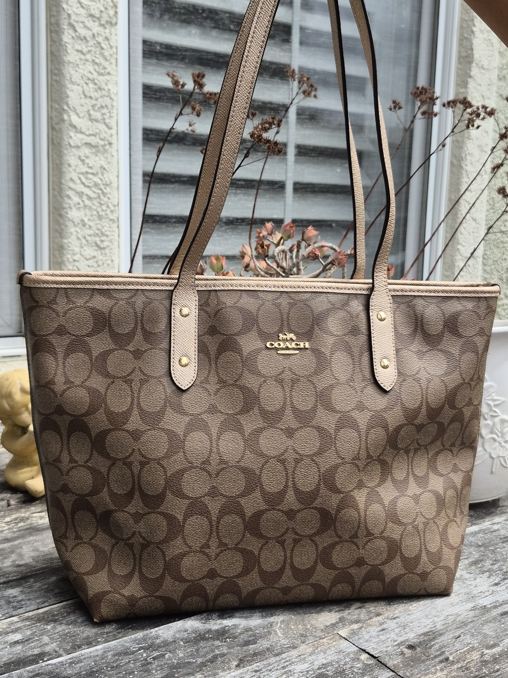 Coach Signature Canvas Tote Bag in Brown